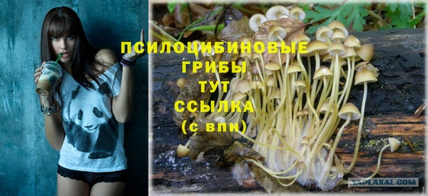 a pvp Абинск