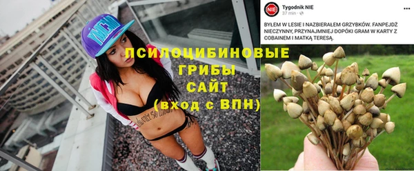 a pvp Абинск