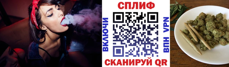 Каннабис планчик  Болотное 